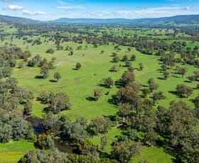 Rural / Farming commercial property for sale at 1007 & 1007A Kiewa Valley Highway Staghorn Flat VIC 3691