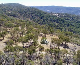 Rural / Farming commercial property for sale at 220 Never Never Road Halls Creek NSW 2346