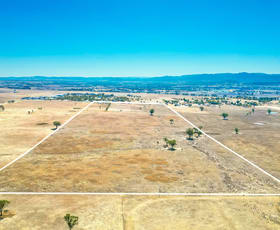 Rural / Farming commercial property for sale at 161 New Winton Road Tamworth NSW 2340