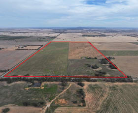 Rural / Farming commercial property for sale at CA, 157 Borung Hurstwood Road Borung VIC 3518