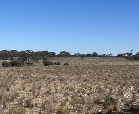 Rural / Farming commercial property for sale at Lot 19 Sleeper Track Swan Reach SA 5354