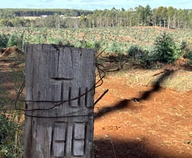 Rural / Farming commercial property for sale at Lot 1 Kim Road (Dingup) Manjimup WA 6258