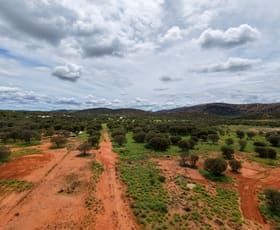 Rural / Farming commercial property for sale at 589 Ross Highway Ross NT 0873