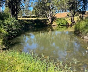 Rural / Farming commercial property for sale at Lot 690/ McCafferty Road Merritts Creek QLD 4352