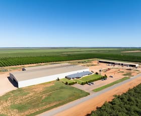 Rural / Farming commercial property for sale at Murtho SA 5340