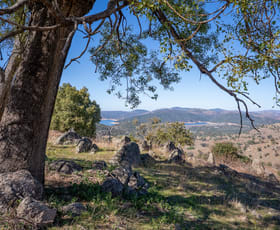 Rural / Farming commercial property for sale at 2656 Reg Hailstone Way Wyangala NSW 2808 Rural / Farming commercial property for sale at 2656 Reg Hailstone Way Wyangala NSW 2808