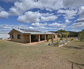 Rural / Farming commercial property for sale at 1092 Camp Creek Road Atholwood NSW 2361