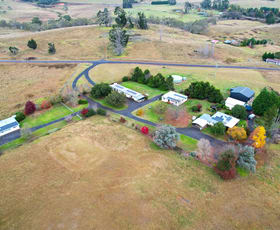 Rural / Farming commercial property for sale at 8950 Nowendoc Road Nowendoc NSW 2354