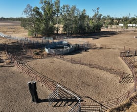Rural / Farming commercial property for sale at "Tooee" Barwon Highway Goondiwindi QLD 4390