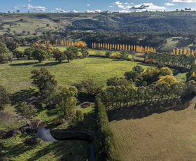 Rural / Farming commercial property for sale at 'The Grove' 635 Grove Creek Road Trunkey Creek NSW 2795