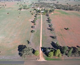 Rural / Farming commercial property for sale at 2892 Springvale Road Condobolin NSW 2877 Rural / Farming commercial property for sale at 2892 Springvale Road Condobolin NSW 2877