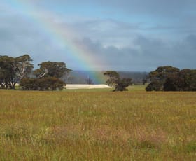 Rural / Farming commercial property sold at Needilup WA 6336