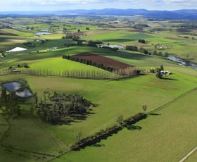 Rural / Farming commercial property sold at 130 Oppenheims Road Latrobe TAS 7307