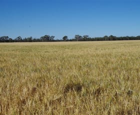 Rural / Farming commercial property sold at 8418 Come By Chance Road Pilliga NSW 2388