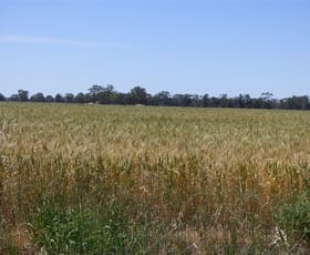 Rural / Farming commercial property sold at Apsley VIC 3319