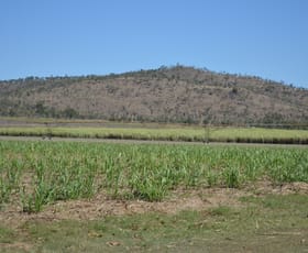 Rural / Farming commercial property sold at 107 Walsh Road Mutchilba QLD 4872