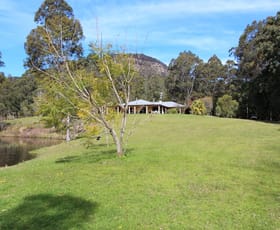 Rural / Farming commercial property sold at Mount Vincent NSW 2323