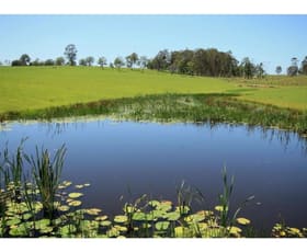 Rural / Farming commercial property sold at 1019 Rushforth Road Elland NSW 2460