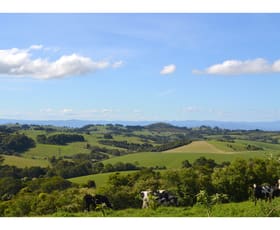 Rural / Farming commercial property sold at Comboyne NSW 2429