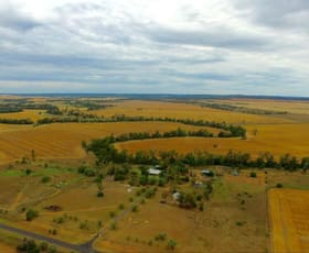 Rural / Farming commercial property sold at 124 County Boundary Road Pallamallawa NSW 2399