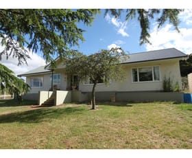 Rural / Farming commercial property sold at 2629 Mid Western Highway Kings Plains NSW 2799