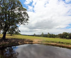 Rural / Farming commercial property sold at 276 Butterwick Road Butterwick NSW 2321
