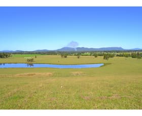 Rural / Farming commercial property sold at 163 Redbank Road Redbank NSW 2446