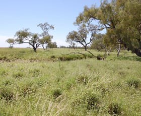 Rural / Farming commercial property sold at "KYWONG"  6073 Winton-Eskdale Road Winton QLD 4735