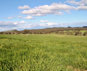 Rural / Farming commercial property sold at 317 Bald Hill Road Goolma NSW 2852