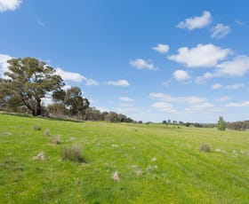 Rural / Farming commercial property sold at 3 MUCKLEFORD GOWER LAND LOT 2 Muckleford VIC 3451