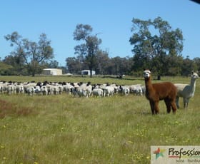 Rural / Farming commercial property sold at 134 Dutchman Road West Coolup WA 6214