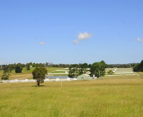 Rural / Farming commercial property sold at 271 Exeter Road Sutton Forest NSW 2577