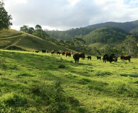 Rural / Farming commercial property sold at Gloucester NSW 2422 Rural / Farming commercial property sold at Gloucester NSW 2422