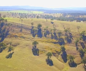 Rural / Farming commercial property sold at 234 Maitland Vale Rd Maitland Vale NSW 2320