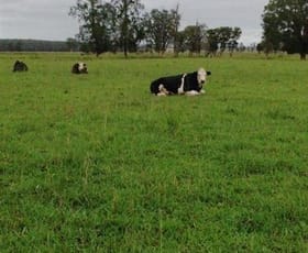 Rural / Farming commercial property sold at Moto NSW 2426