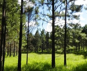 Rural / Farming commercial property sold at Monduran QLD 4671 Rural / Farming commercial property sold at Monduran QLD 4671