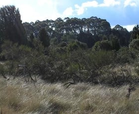 Rural / Farming commercial property sold at Waratah TAS 7321 Rural / Farming commercial property sold at Waratah TAS 7321