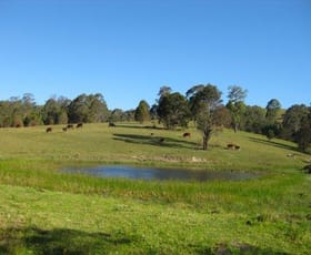 Rural / Farming commercial property sold at Wang Wauk NSW 2423