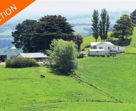 Rural / Farming commercial property sold at 821 Mountain View Road Mountain View VIC 3988