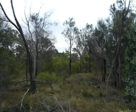 Rural / Farming commercial property sold at 130 HARWOODS ROAD Tara QLD 4421 Rural / Farming commercial property sold at 130 HARWOODS ROAD Tara QLD 4421