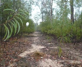 Rural / Farming commercial property sold at 159 LUCKY ROAD Tara QLD 4421