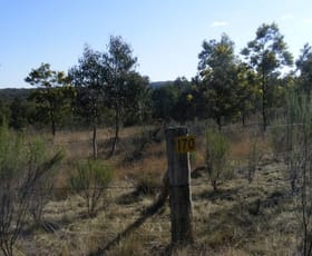 Rural / Farming commercial property sold at 170 Red Hills Road Marulan NSW 2579