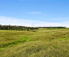 Rural / Farming commercial property sold at Lot 51 Lenaghans Drive Lenaghan NSW 2322