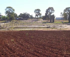 Rural / Farming commercial property sold at 552 acres at Chinchilla QLD 4413 Rural / Farming commercial property sold at 552 acres at Chinchilla QLD 4413