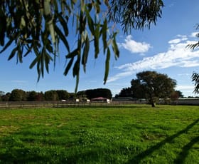 Rural / Farming commercial property sold at 13-15 Homewood Road Cranbourne South VIC 3977
