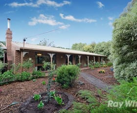 Rural / Farming commercial property sold at 31 Boes Road Tyabb VIC 3913