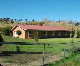 Rural / Farming commercial property sold at 1918 Gocup Rd Gundagai NSW 2722
