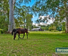 Rural / Farming commercial property sold at 200 Donnybrook Road Donnybrook QLD 4510