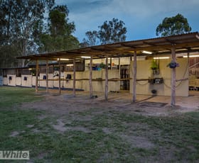 Rural / Farming commercial property leased at Buccan QLD 4207