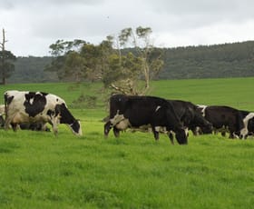 Rural / Farming commercial property sold at 700 Timboon-Colac Road Scotts Creek VIC 3267